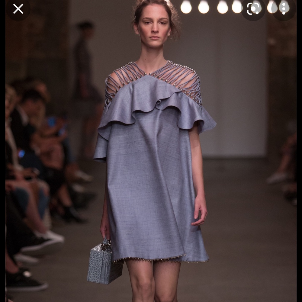NWT Zimmermann mischief  dress